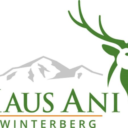 Haus Ani Winterberg Villa Bagian luar foto
