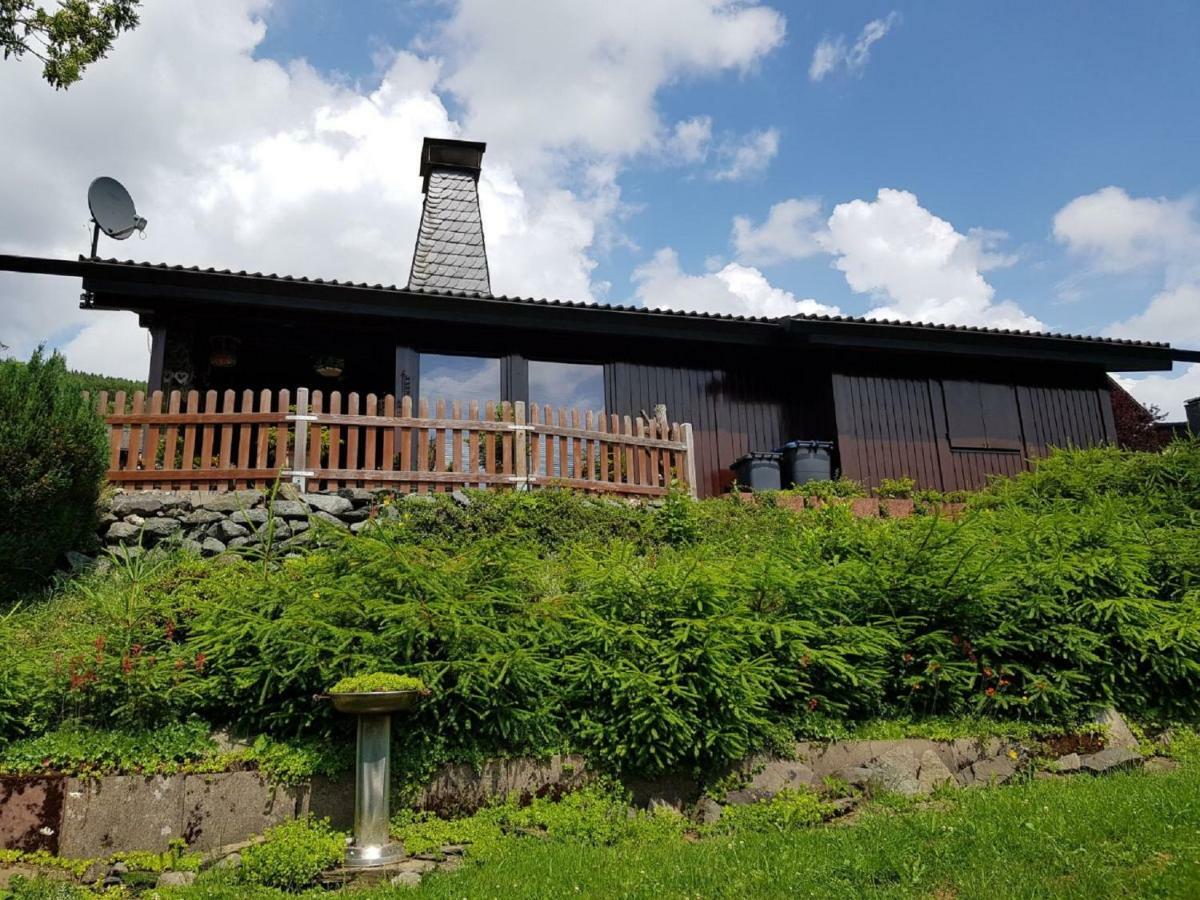 Haus Ani Winterberg Villa Bagian luar foto