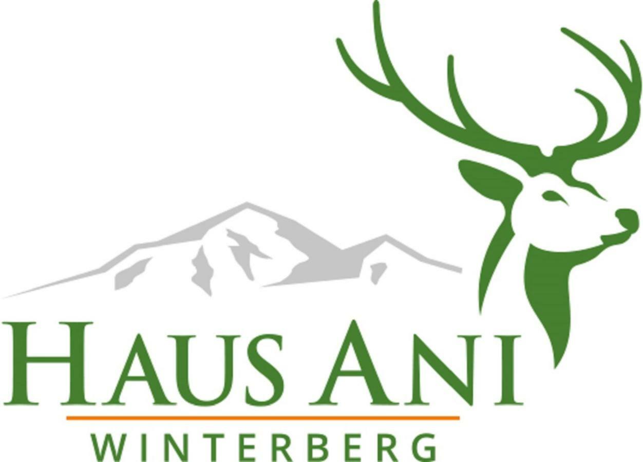 Haus Ani Winterberg Villa Bagian luar foto