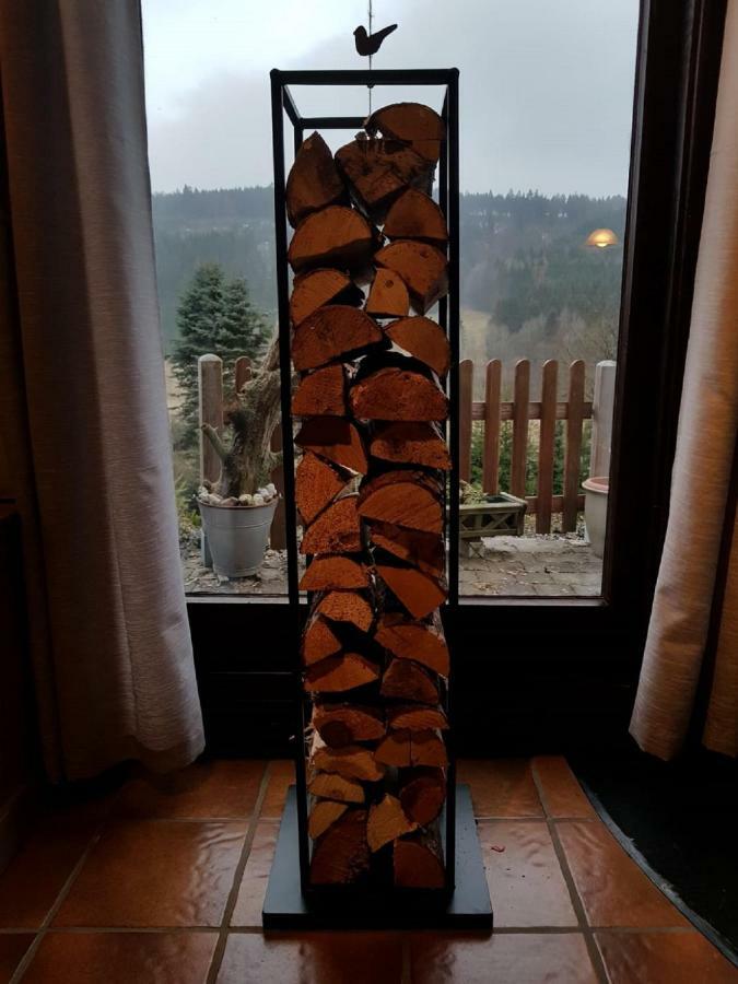 Haus Ani Winterberg Villa Bagian luar foto