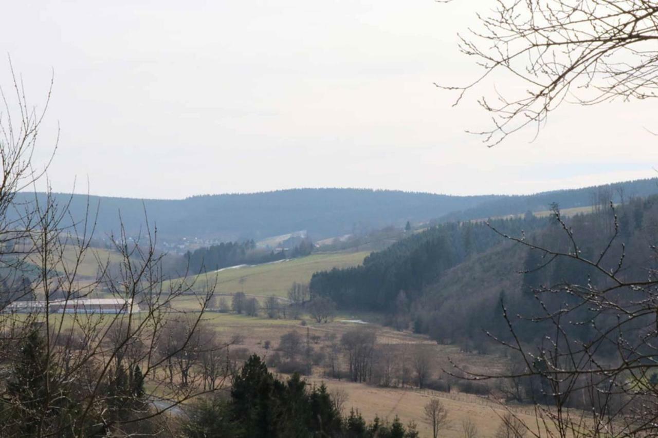 Haus Ani Winterberg Villa Bagian luar foto