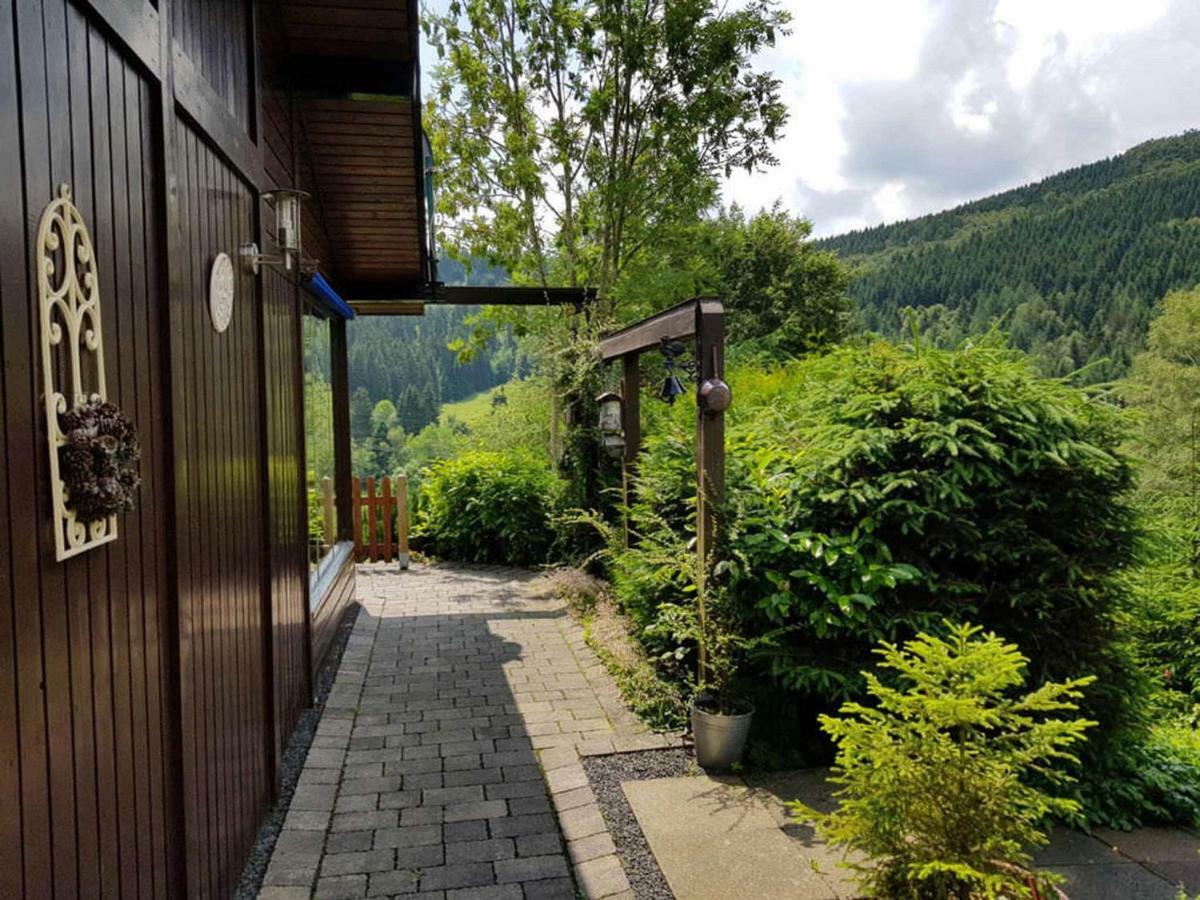 Haus Ani Winterberg Villa Bagian luar foto
