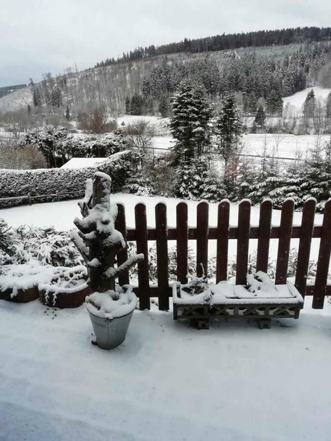 Haus Ani Winterberg Villa Bagian luar foto