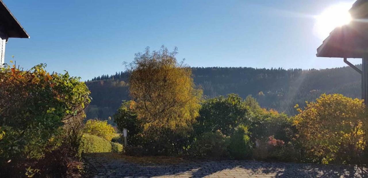 Haus Ani Winterberg Villa Bagian luar foto